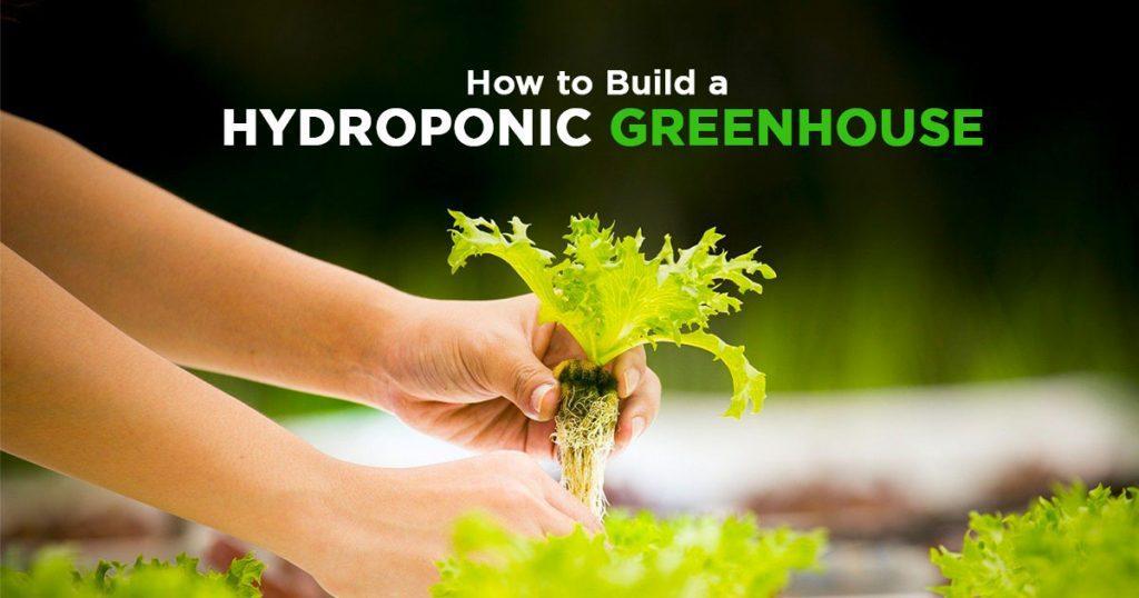 how to build a hydroponic greenhouse