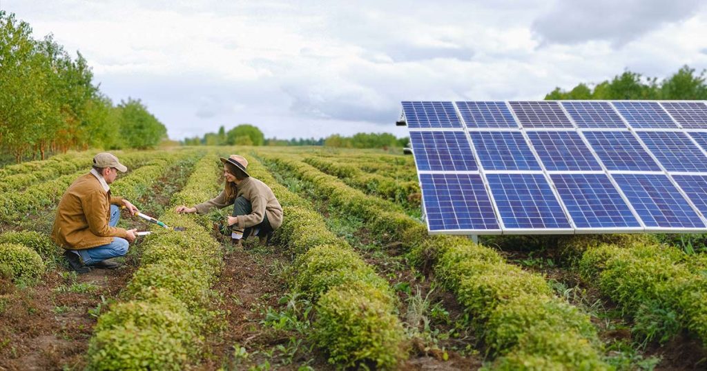 solar farms pros and cons