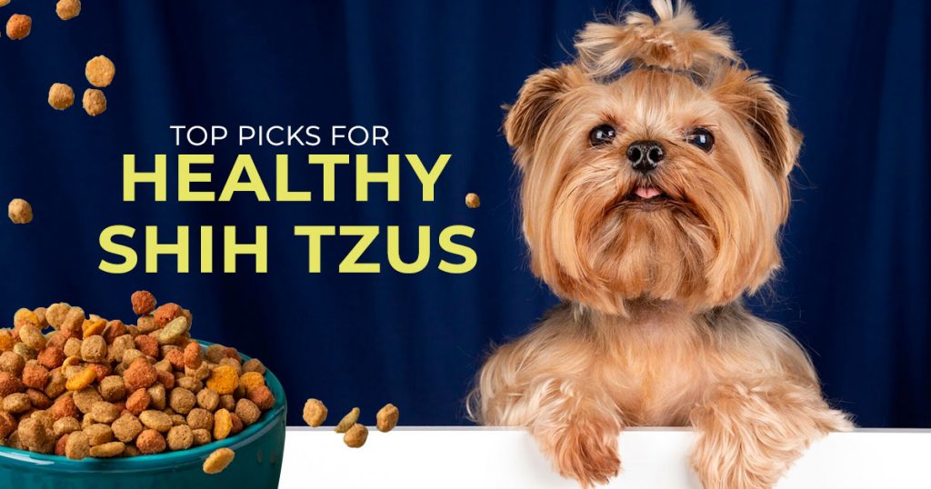 top-picks-for-healthy-shih-tzus