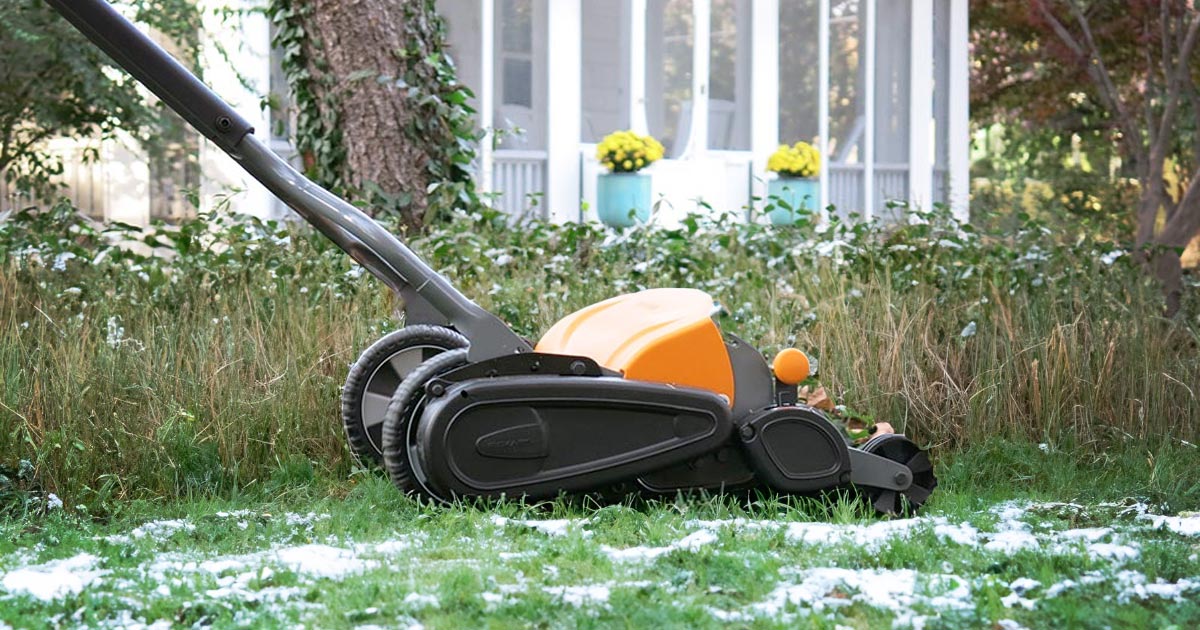 winter-lawn-treatment-guide