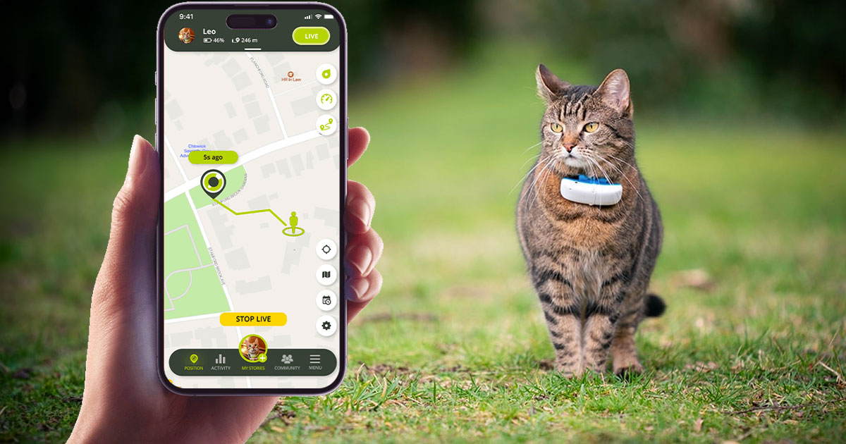 best-cat-gps-tracker