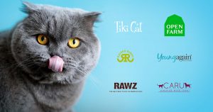 diabetic-cats-food-brand