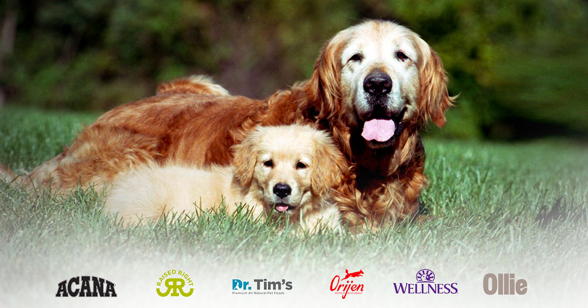 dog-food-brands-milk-production-for-dogs