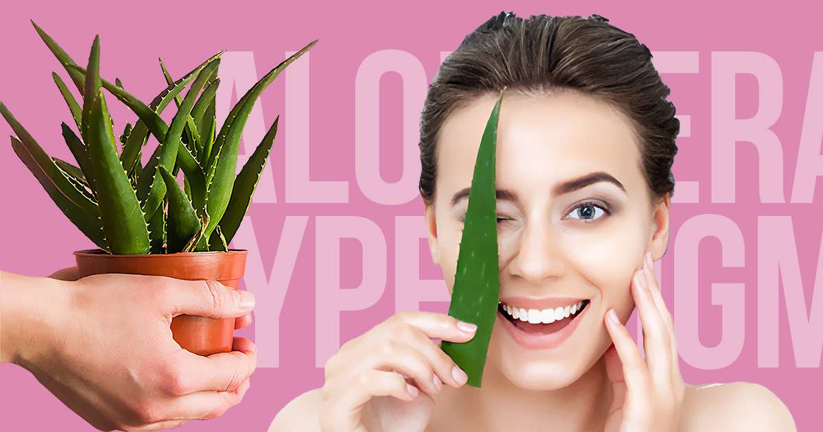 aloe-vera-help-with-hyperpigmentation