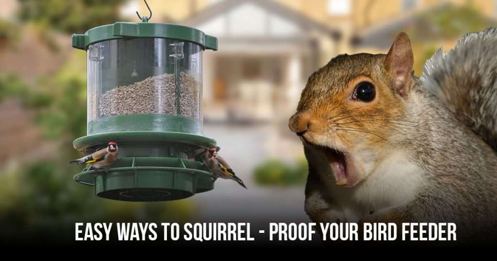 easy ways to squirrel proof bird feeder