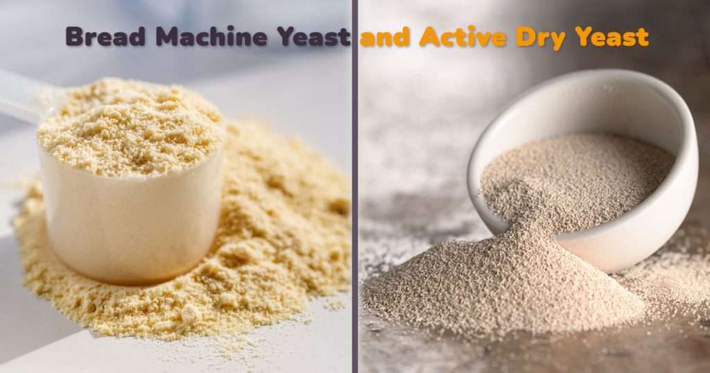 bread machine vs active dry yeast