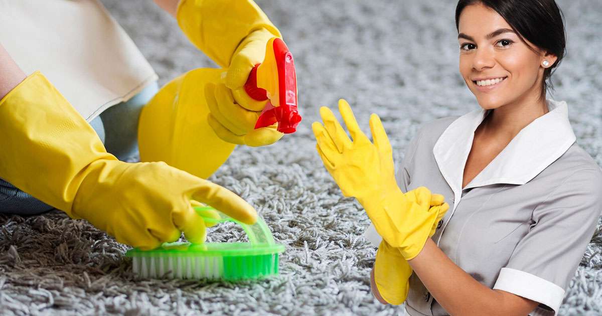 guide to carpet deodorizing