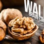why walnuts shaped like brain