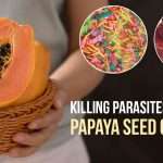 papaya seeds for deworming