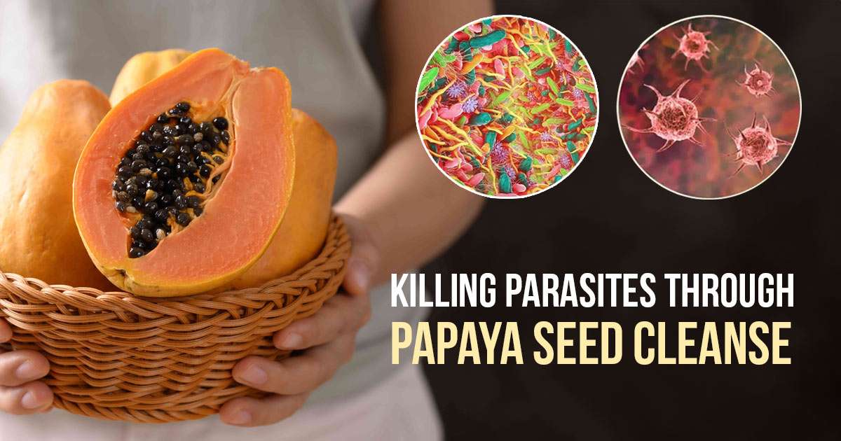 papaya seeds for deworming