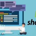 shopify an erp