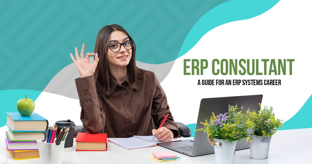 working as erp consultant