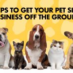 How to start a pet sitting business