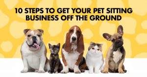 How to start a pet sitting business