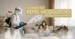 How to repel mosquitoes