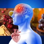 resveratrol-foods-for-heart-and-brain