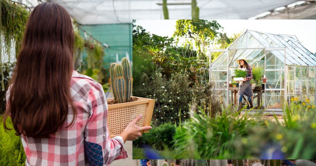How to build a greenhouse cheap