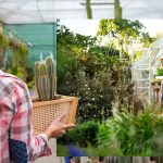 How to build a greenhouse cheap